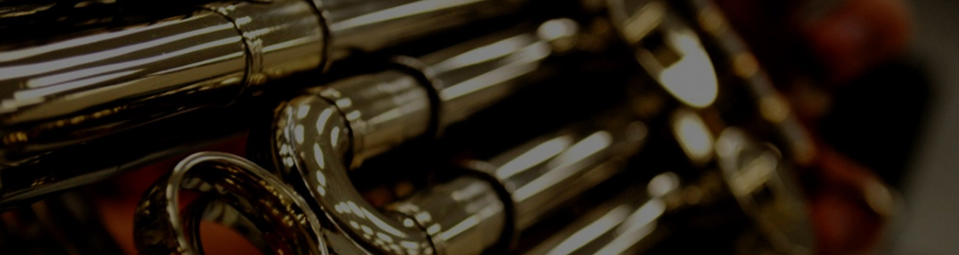 French Horn Cases For Sale