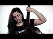 D'Addario Kaplan Bass Strings video demonstration