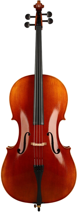 Core C34 Carved Cello