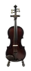 Glasser Carbon Composite Acoustic Violin Outfit
