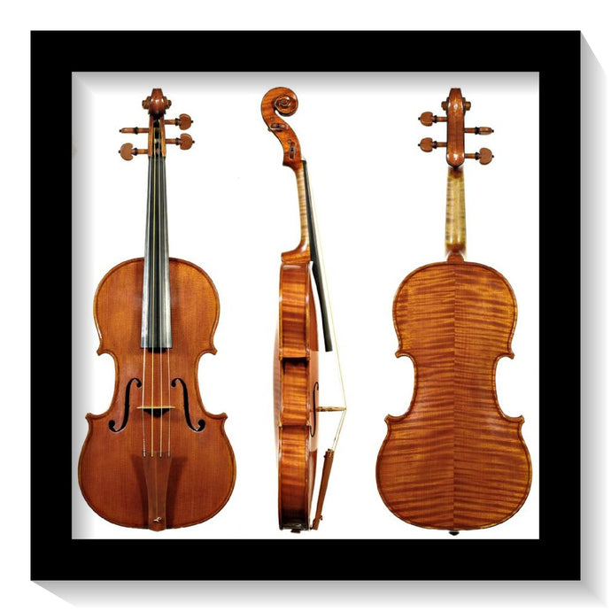 Pricing of String Instruments