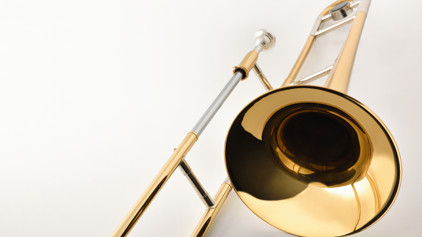 Orchestral String Instrument Rentals and Sales – cassandrastrings.com