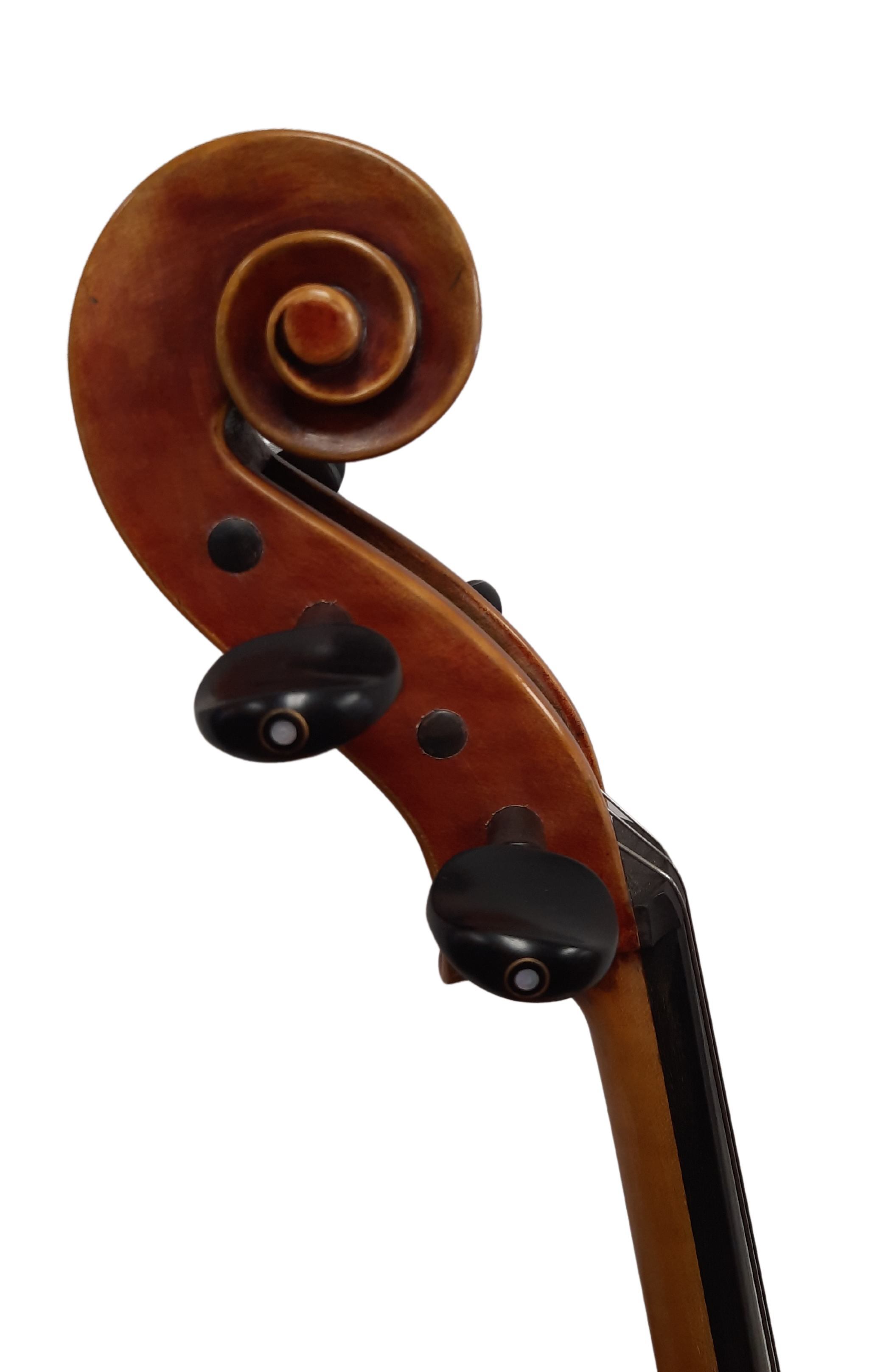 Nicolo Gabrieli Model 182F Cello