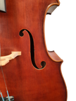 Sofia Premium Master Cello