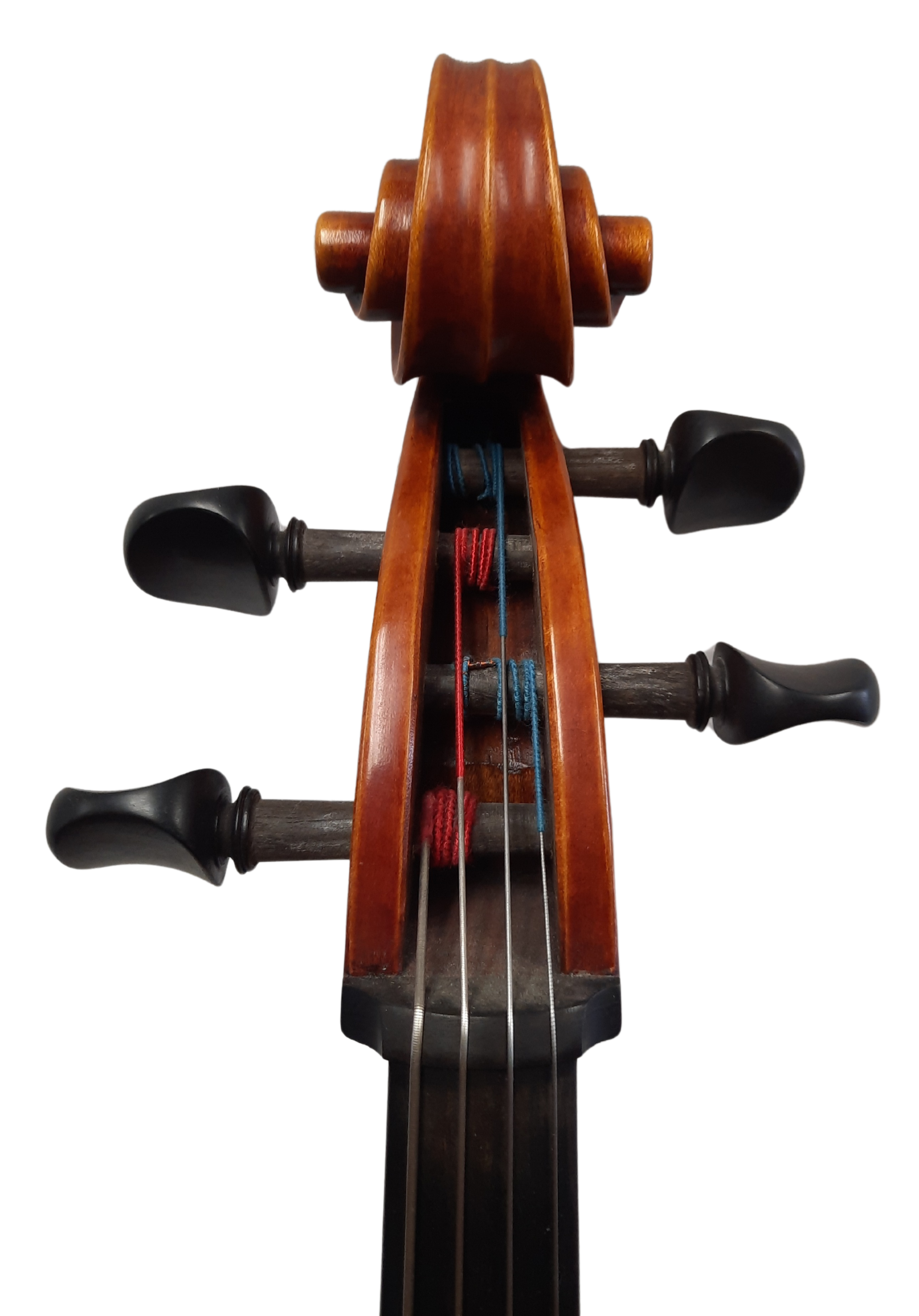 Sofia Premium Master Cello