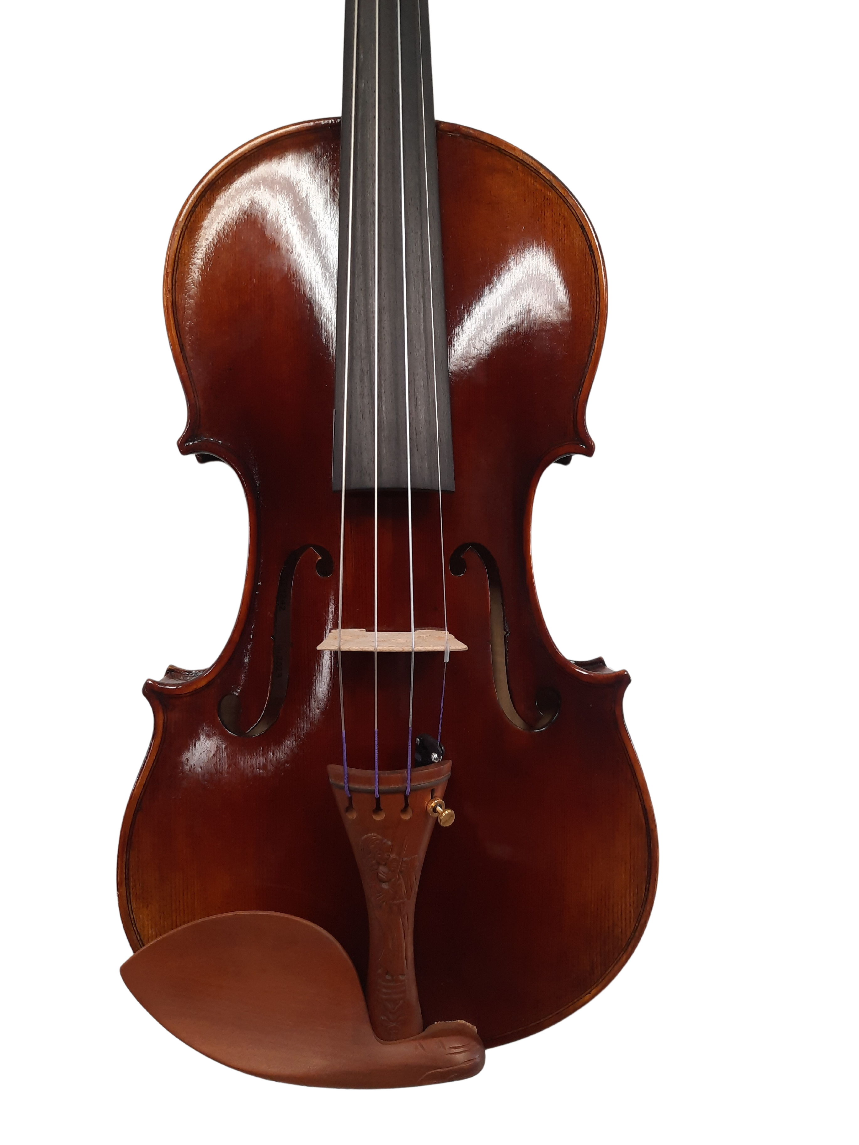 【公式】 Violins cassandrastrings.com – Sale For 弦楽器