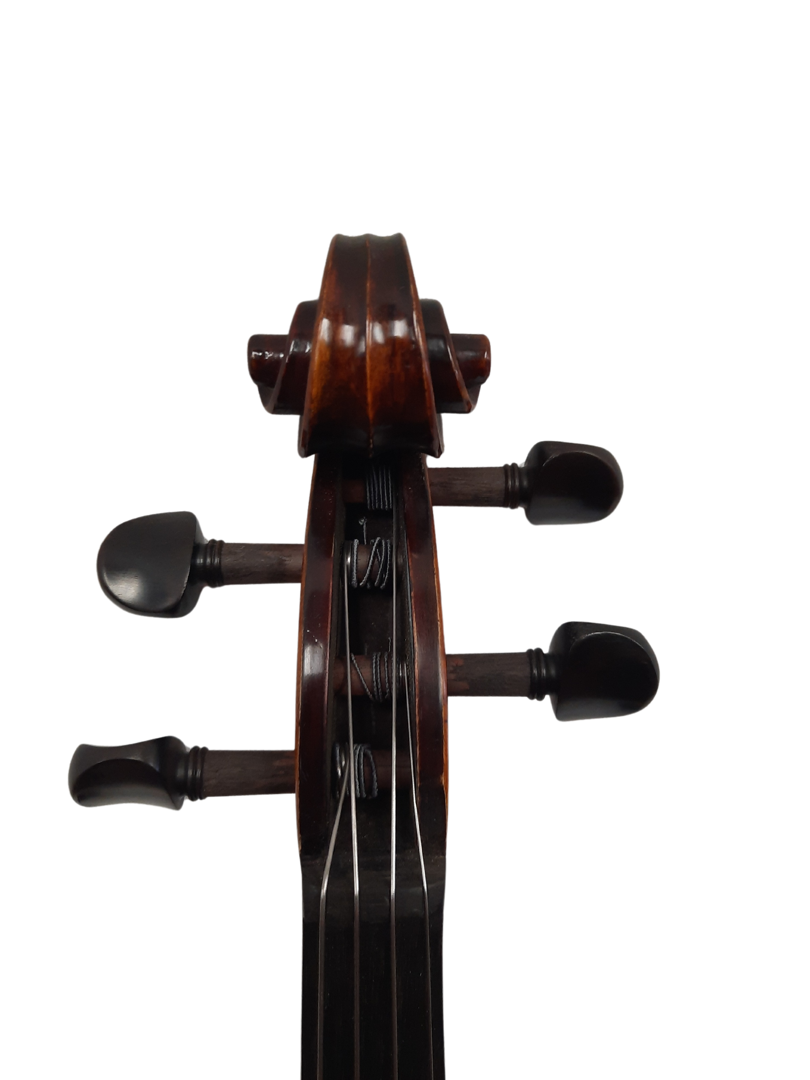 Angel Taylor Model A220 Viola