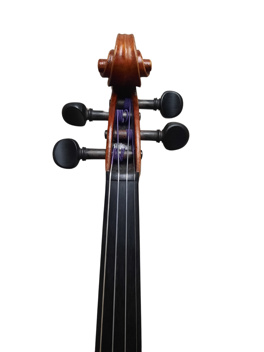 Otto Bruckner Violin C1960 – cassandrastrings.com