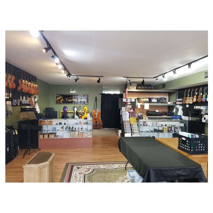 Orchestral String Instrument Rentals and Sales – cassandrastrings.com