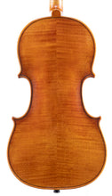 Load image into Gallery viewer, Snow Per Caso Violin

