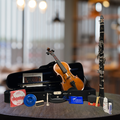 Instrument Rental Program – cassandrastrings.com