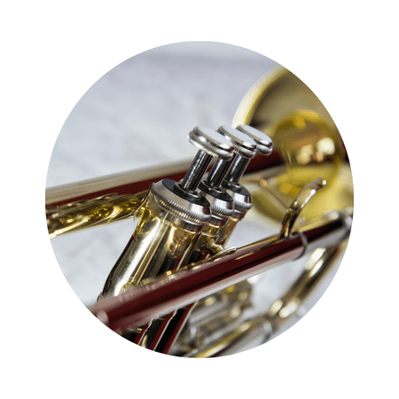 Orchestral String Instrument Rentals and Sales – cassandrastrings.com