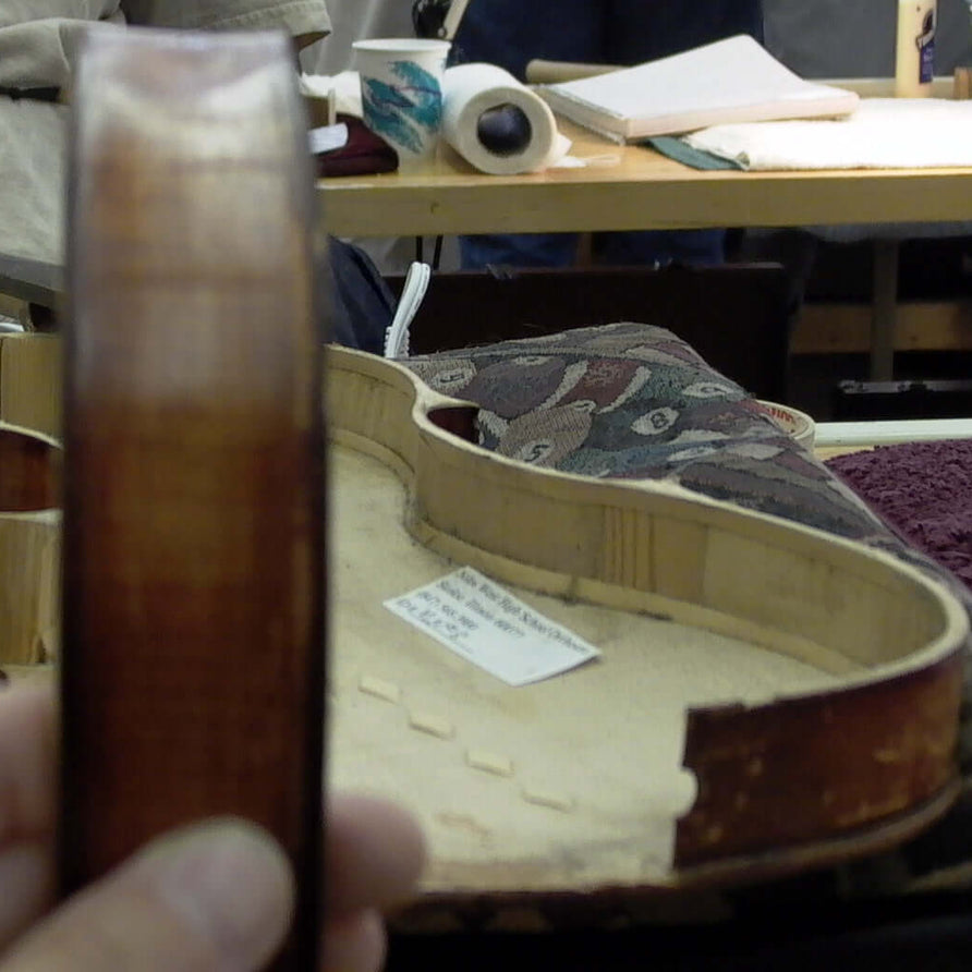 Orchestral String Instrument Rentals and Sales – cassandrastrings.com