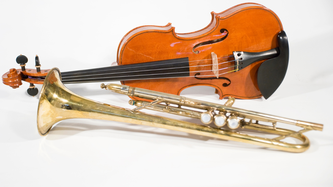 Orchestral String Instrument Rentals and Sales – cassandrastrings.com