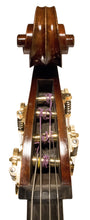 Load image into Gallery viewer, Jiri Pavolny Ceruti Model Bass

