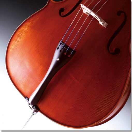 Franz Sandner Model 503 German Cello