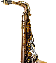 Load image into Gallery viewer, P. Mauriat Grand Dreams Alto Sax
